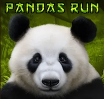 Pandas Run